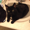 snzlurker-blog avatar