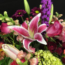 snzposts-from-a-darker-timeline avatar