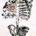 so-let-it-out-and-let-it-in avatar