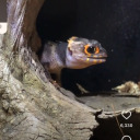 so-may-you-all avatar