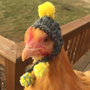 so-once-i-was-a-chicken avatar