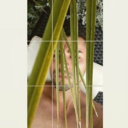 so-that-no-one-says avatar