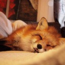 so-tired-of-this-shit avatar