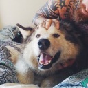 so-unsure-of-everything avatar