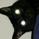 soapiekitty avatar