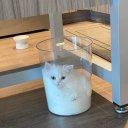 soaploafdraws avatar