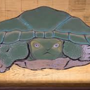 soaring-turtle-jet avatar