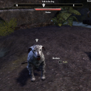 soaringorangeslol avatar