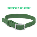 soarlikeanowl avatar