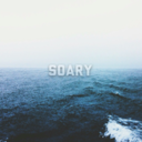 soary avatar