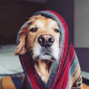 soberlysoulful avatar