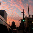 sobre-o-amor-s2 avatar