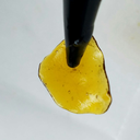 socalstonerla avatar