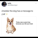 soccerlovernb3 avatar