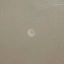 social-butterfly-knife avatar