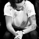 social-casualties avatar