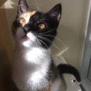 social-life-no-thanks avatar