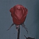 socialbutterknife avatar