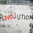 socialfabricuk avatar