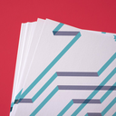 socialist-future avatar