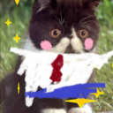 socialist-stairs avatar