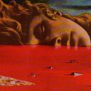 socialisthedgehog avatar