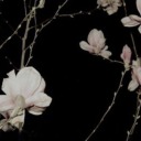 sociallyakwardb avatar