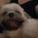 sociallyanxiouskraken avatar