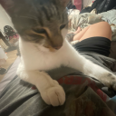 sociallyanxiouspyrate avatar