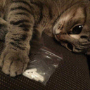 sociallyawkwarddweeb avatar