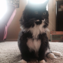 sociallyawkwardinsnow avatar