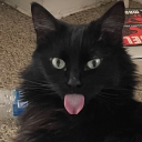 sociallyawkwardjustice avatar