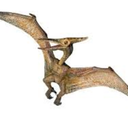 sociallyawkwardpterodactyl avatar