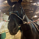 sociallyawkwardsteph avatar