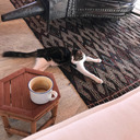 sociallyawkwardwitchbitch avatar