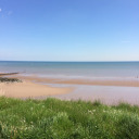 sociallychallengedperson avatar