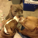 sociallyconstructed2 avatar