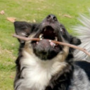 sociallyineptbean avatar