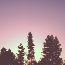 socialopolis-blog avatar