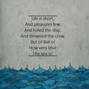 socialragedoll avatar