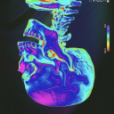 socialrejectbitches avatar