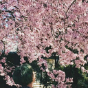 socialroutine avatar