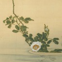 socialstudiesstressed avatar