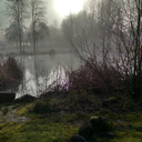 socialworkselkie avatar