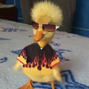 societalphobias avatar