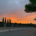 society-muerta avatar