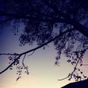 societyawkwardboy avatar