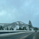 societycorruptssogowild avatar