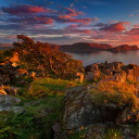 societyoftheglitch avatar