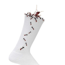 sock-full-of-ants avatar